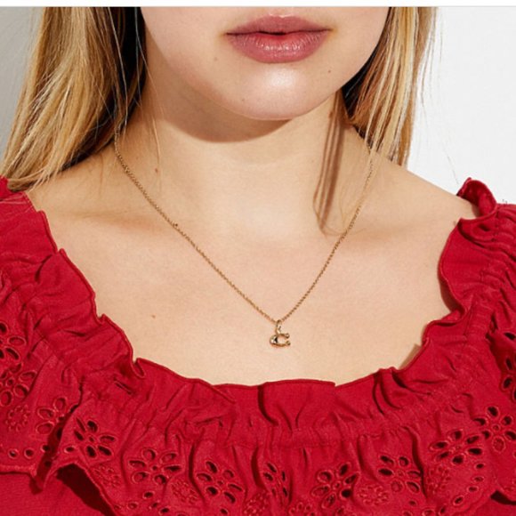 BRAND NEW COACH SIGNATURE C SILVER NECKLACE - Picture 9 of 9